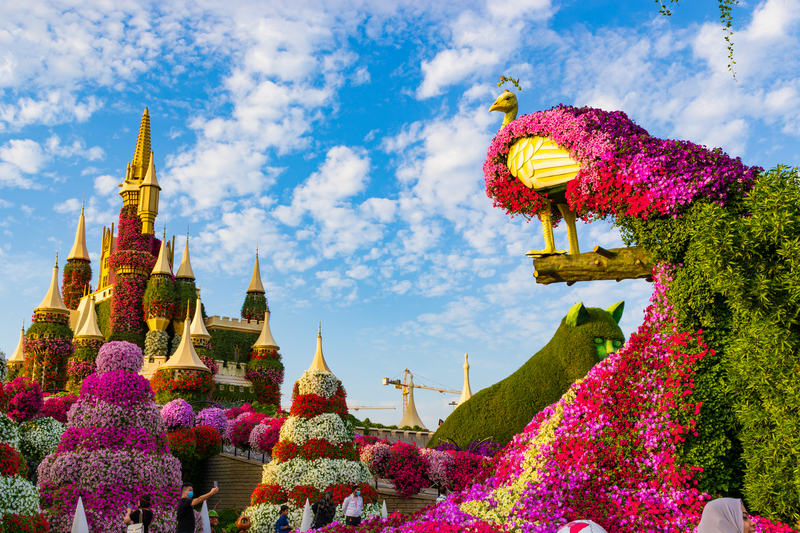 Dubai Miracle Garden