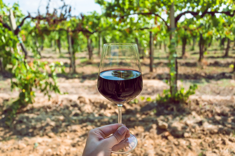 винодельческие регионы Грузии