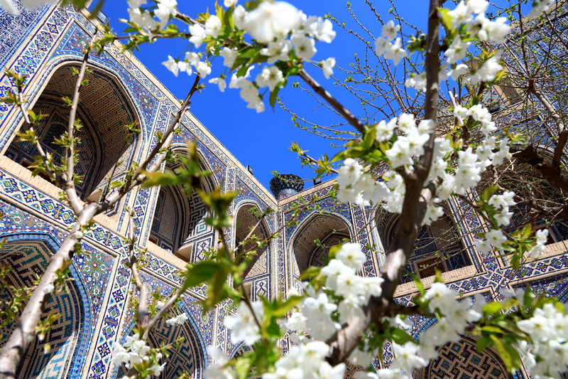 Весна в Узбекистане