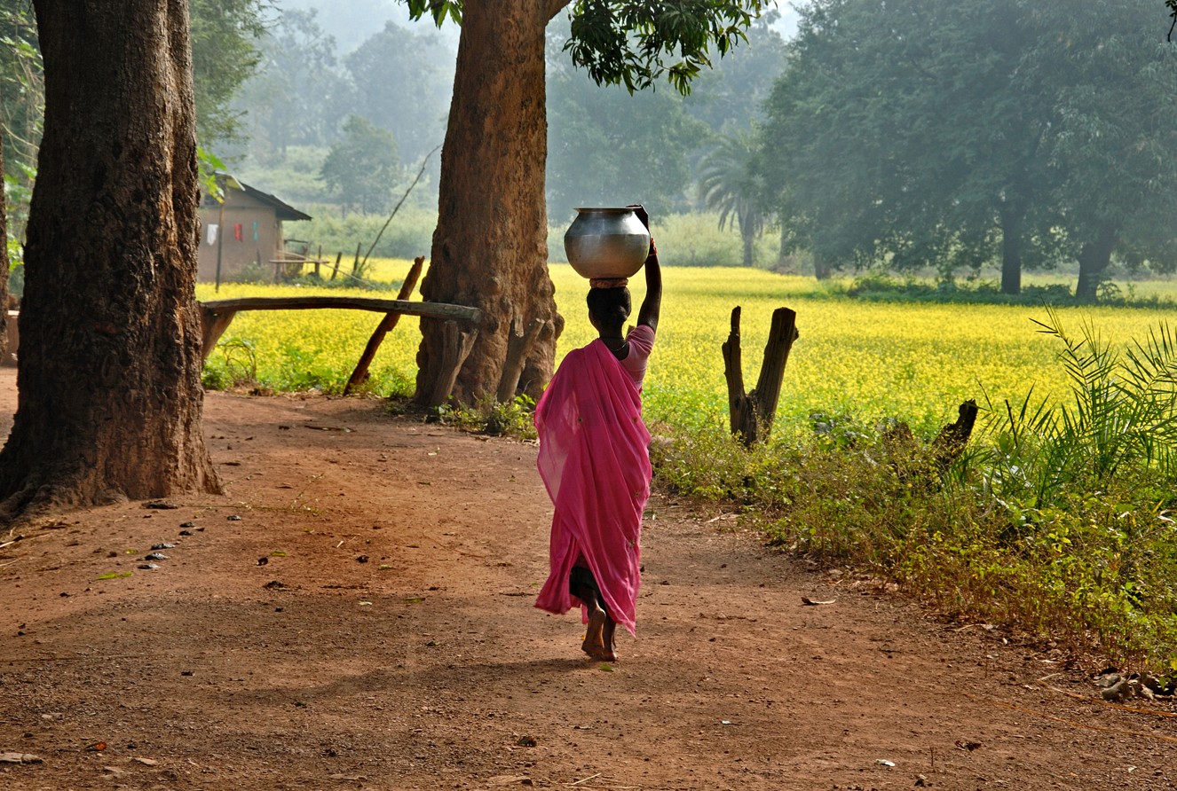 Чхаттисгарх