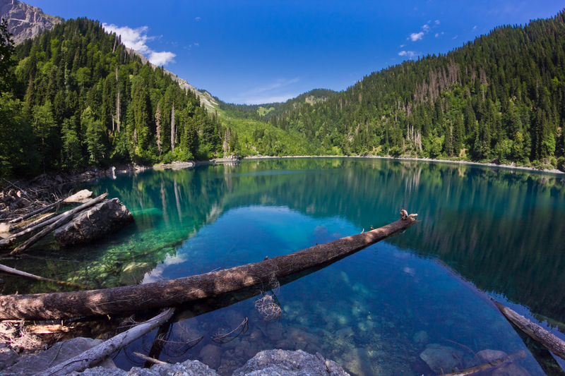 Рицинский реликтовый национальный парк  