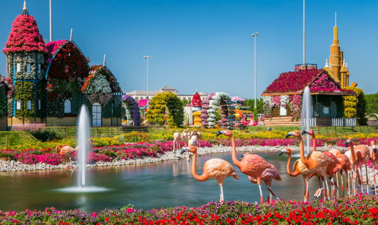 Dubai Miracle Garden