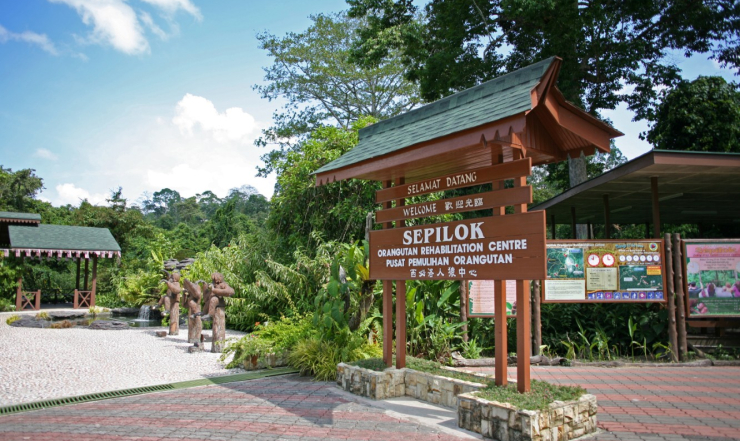 Центр реабилитации орангутангов на Борнео