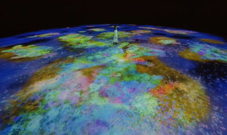 TeamLab Phenomena Abu Dhabi