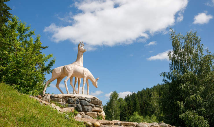 Белокуриха