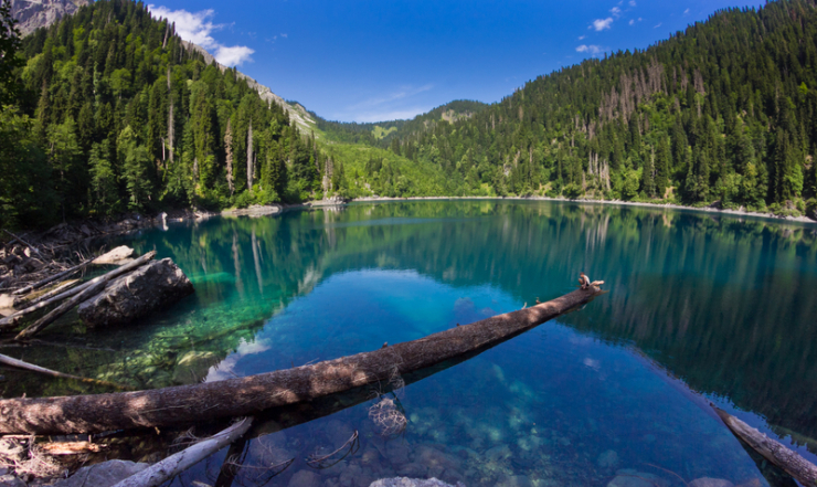 Рицинский реликтовый национальный парк  
